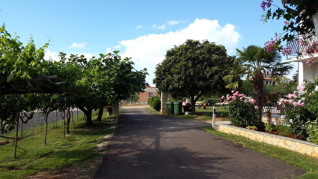 Apartment Samanta Novigrad Istria 外观 照片